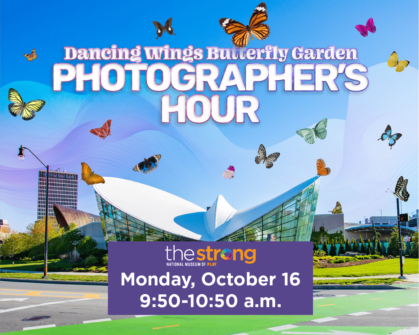 Outdoor picture of butterfly garden with text saying "Photographer's hour"
