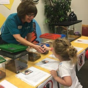 Summer Camp: It’s Alive!